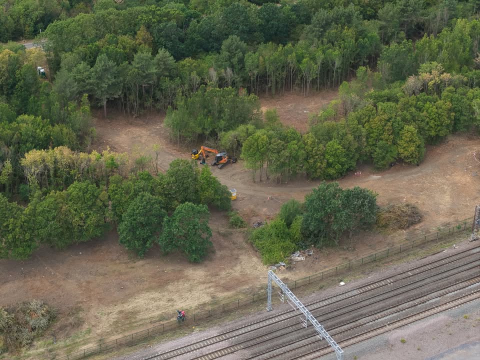Wixams station site opens up as vegetation clearance continues