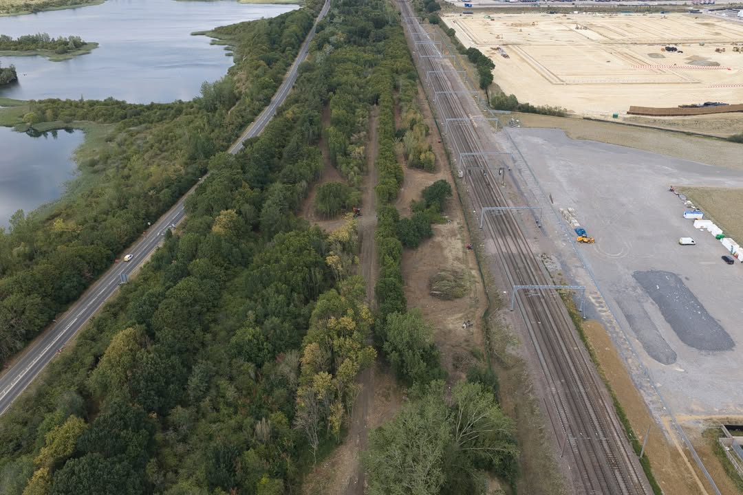 Wixams station site opens up as vegetation clearance continues