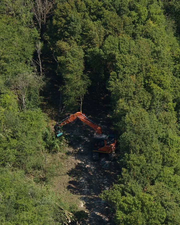 Contractors clear woodland access at future Wixams station site