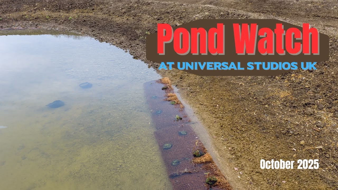 Pond Watch Universal Studios UK